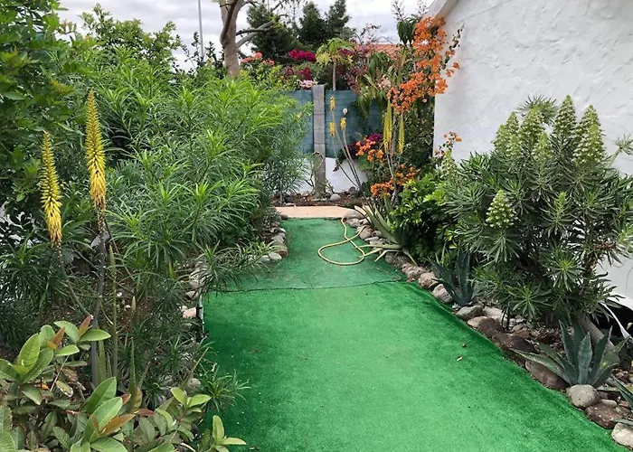 Tres Beau Bungalow,Jardin Tropical, Renovation Ete 2020