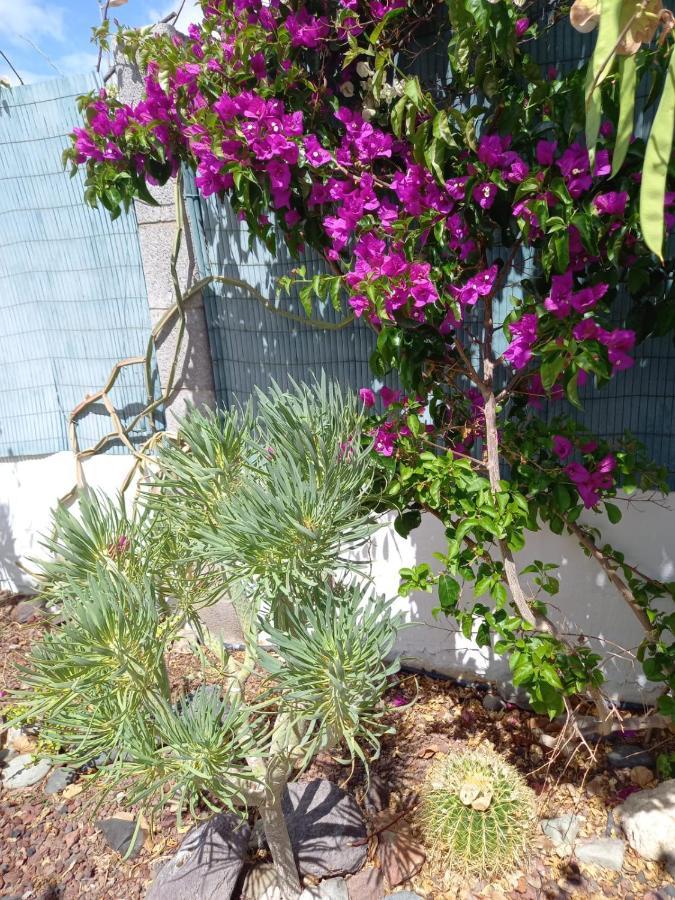 Tres Beau Bungalow,jardin Tropical, Renovation Ete 2020 Holiday home *