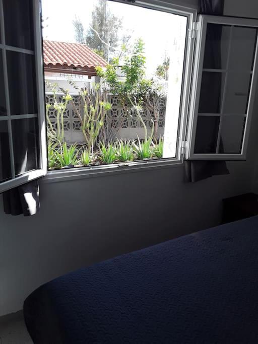 Vakantiehuis Tres Beau Bungalow,jardin Tropical, Renovation Ete 2020 Playa del Inglés