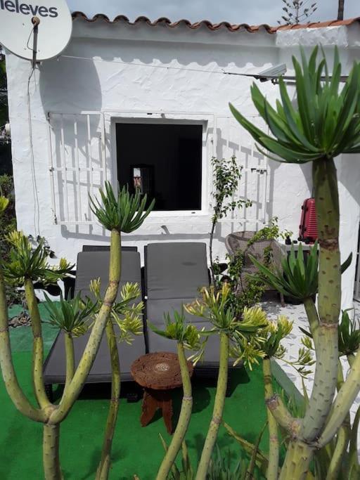 Tres Beau Bungalow,jardin Tropical, Renovation Ete 2020 Vakantiehuis Playa del Inglés