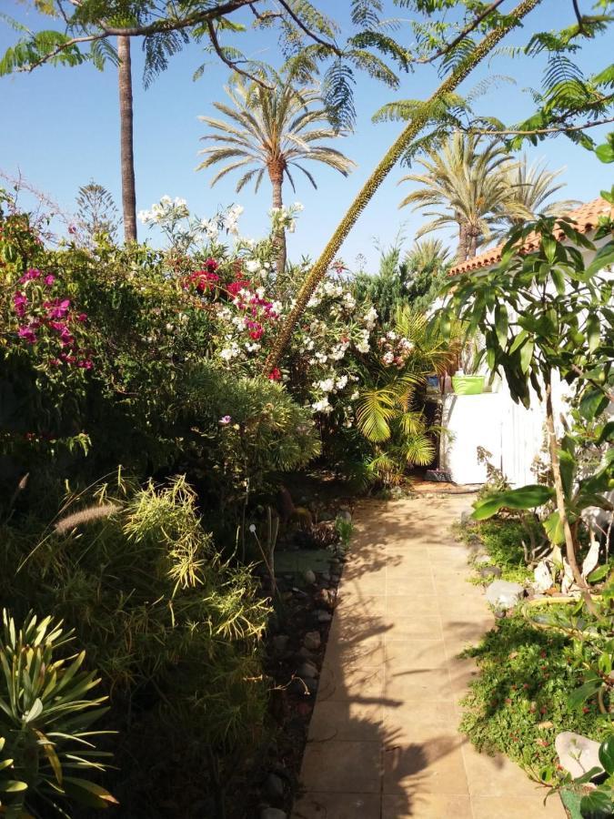 Tres Beau Bungalow,jardin Tropical, Renovation Ete 2020 Vakantiehuis *