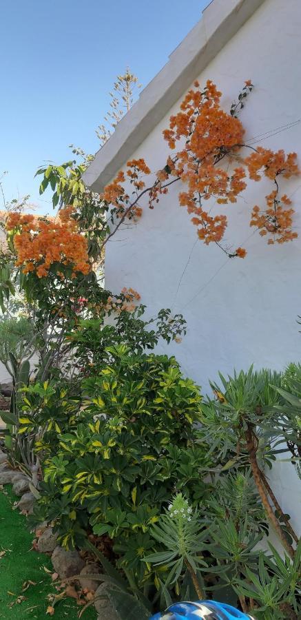 Vakantiehuis Tres Beau Bungalow,jardin Tropical, Renovation Ete 2020 *