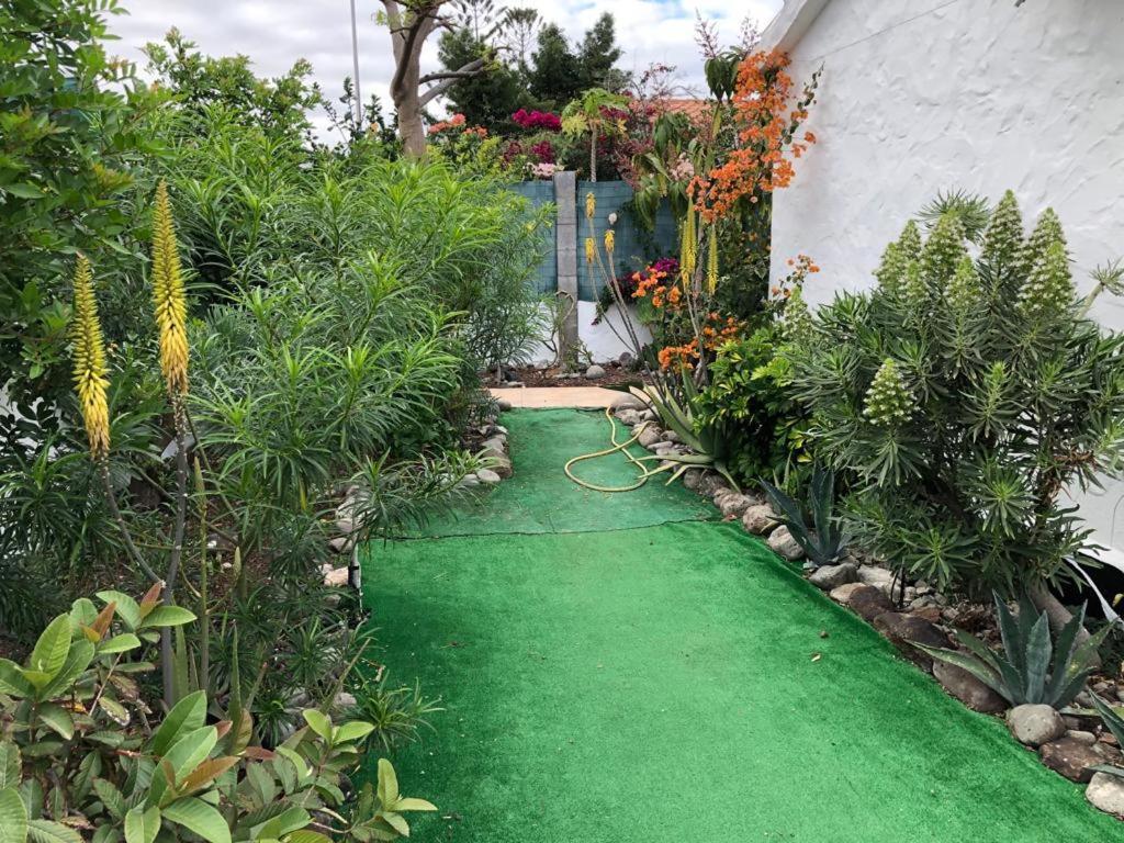 Tres Beau Bungalow,jardin Tropical, Renovation Ete 2020 Vakantiehuis *