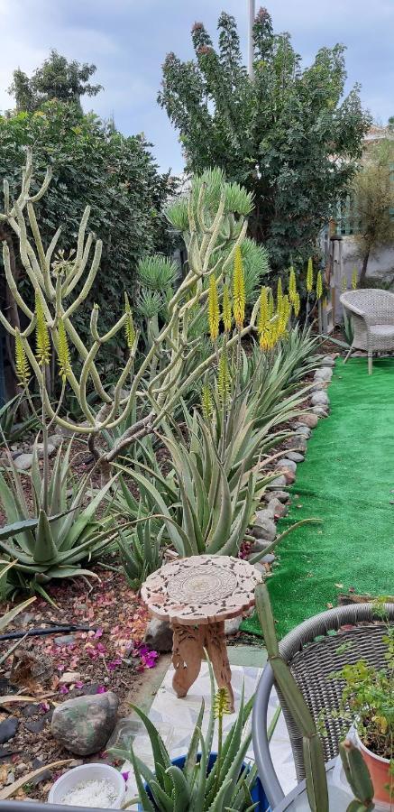 Tres Beau Bungalow,jardin Tropical, Renovation Ete 2020 Vakantiehuis